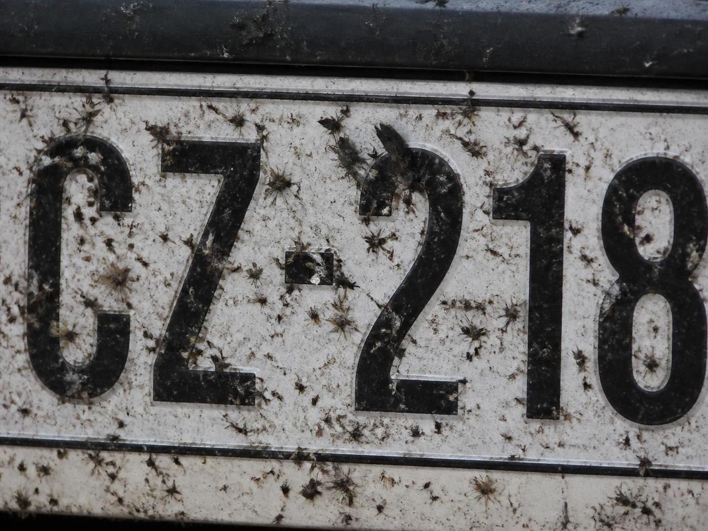 Contribuez Ă la surveillance des insectes en photographiant votre plaque dâimmatriculation 7 participez Ă la surveillance des insectes en prenant en photo votre plaque dâimmatriculation et aidez les chercheurs Ă collecter des donnĂ©es prĂ©cieuses.