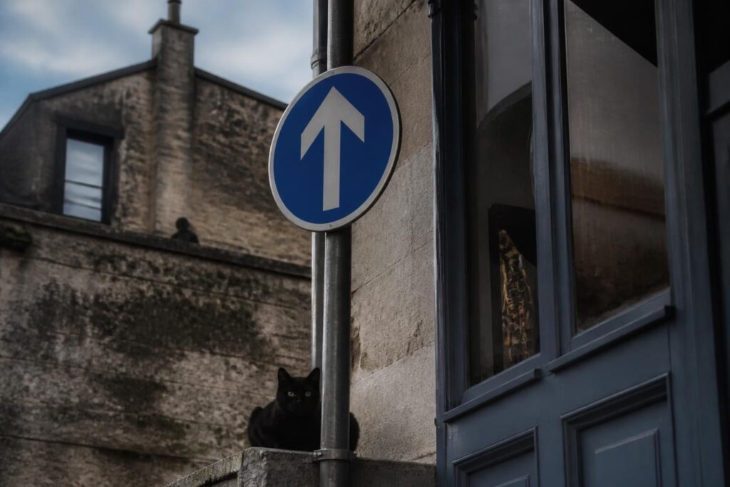découvrez l'histoire surprenante derrière une simple photo de panneau devenue un cliché mystérieux. plongez dans ce récit insolite qui va au-delà de l'image.