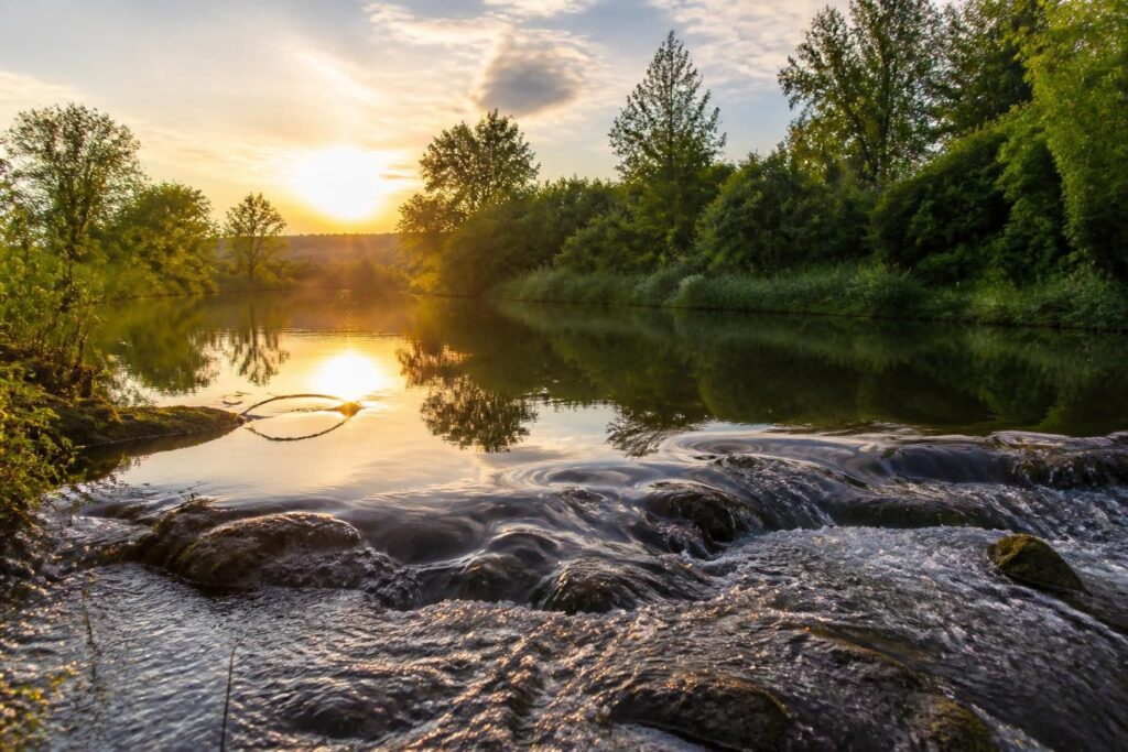 découvrez l'exposition photographique captivante à malzéville, une immersion en harmonie avec l'eau, à voir jusqu'au 18 octobre.