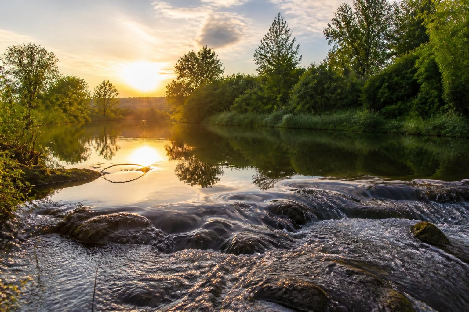 découvrez l'exposition photographique captivante à malzéville, une immersion en harmonie avec l'eau, à voir jusqu'au 18 octobre.