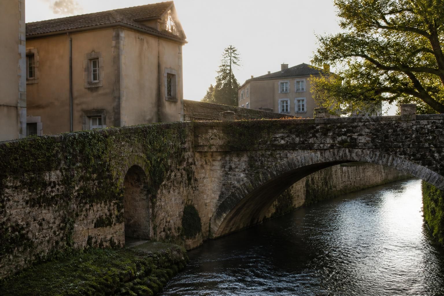 plongez dans l'exposition photo 'patrimoine oublié' à albigny-sur-saône et explorez un voyage visuel captivant à travers l'histoire méconnue de la région.